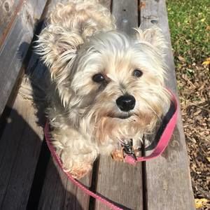 Meet your Posher, Lea